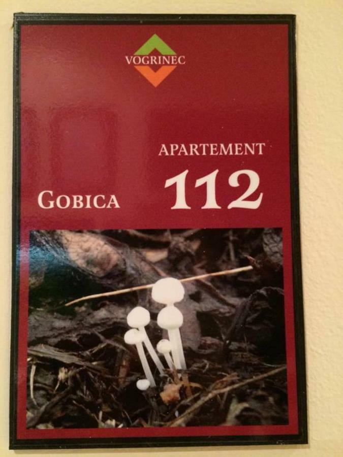 Apartments-Rooms Vogrinec Πτούι Εξωτερικό φωτογραφία